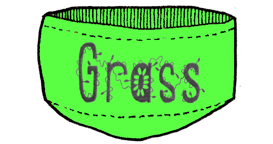 Grass.